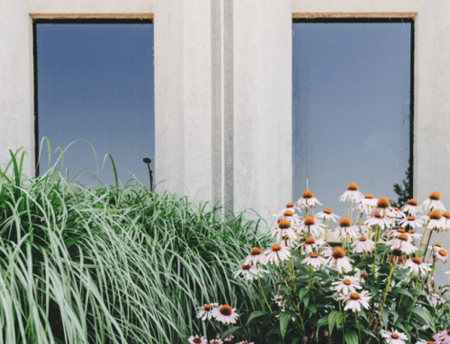 6 Guidelines & Rules For Communal Gardens in Flats