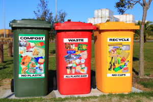 Compost, waste and recycling bin